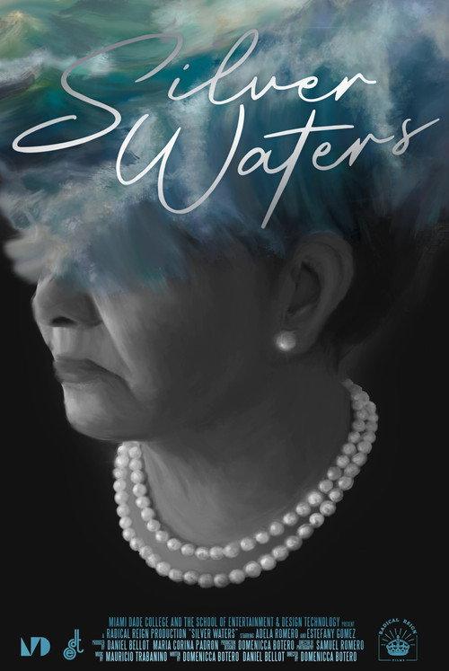 Silver Waters  official movie poster