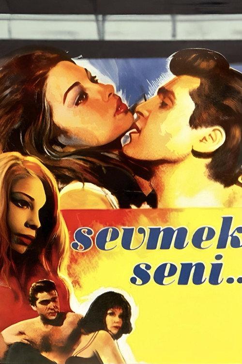 Sevmek Seni 1965 official movie poster