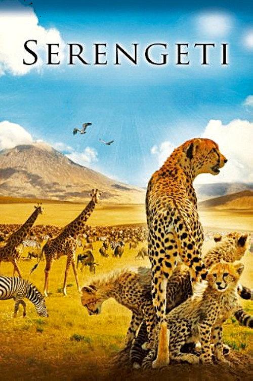 Serengeti 2011 official movie poster
