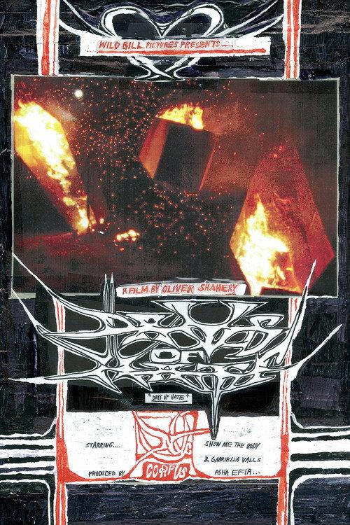 Days of Hate 2024 official movie poster