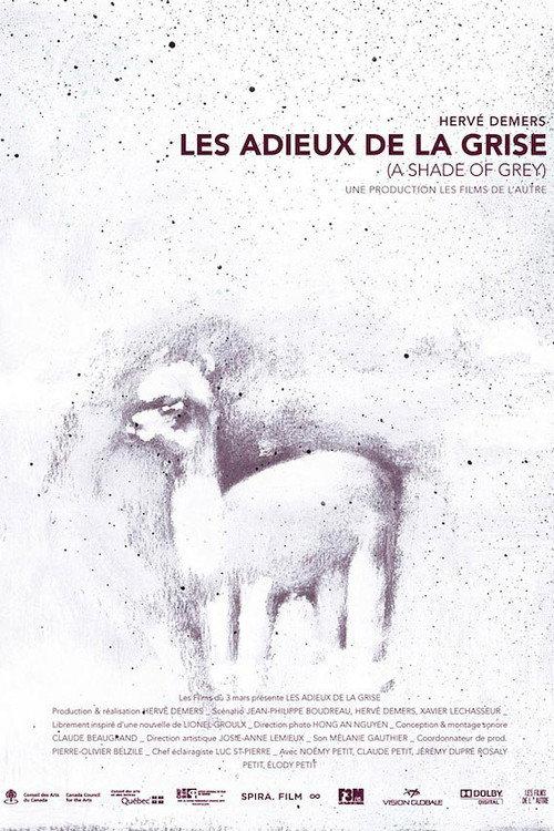 A Shade of Grey 2013 official movie poster