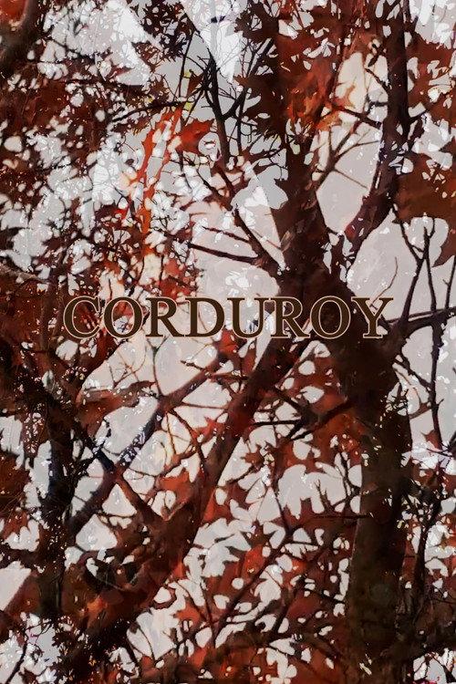 Corduroy 2022 official movie poster