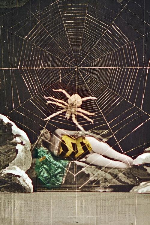 Wonderful Beehive 1905 official movie poster