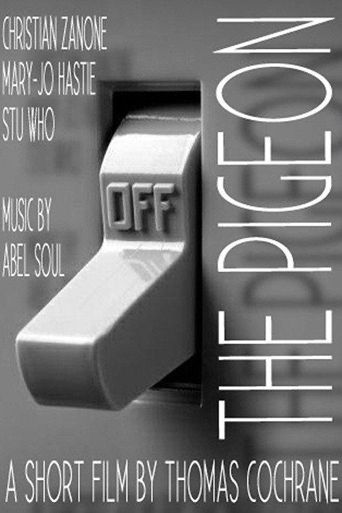 The Pigeon 2013 official movie poster