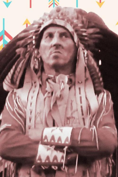 L'indien des Acacias 1973 official movie poster
