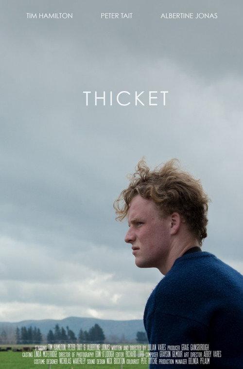 Thicket 2017 official movie poster