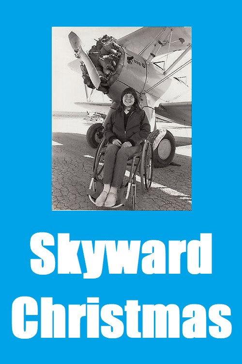 Skyward Christmas 1981 official movie poster