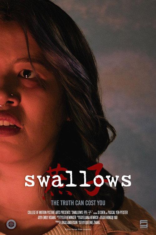 swallows燕子 2024 official movie poster