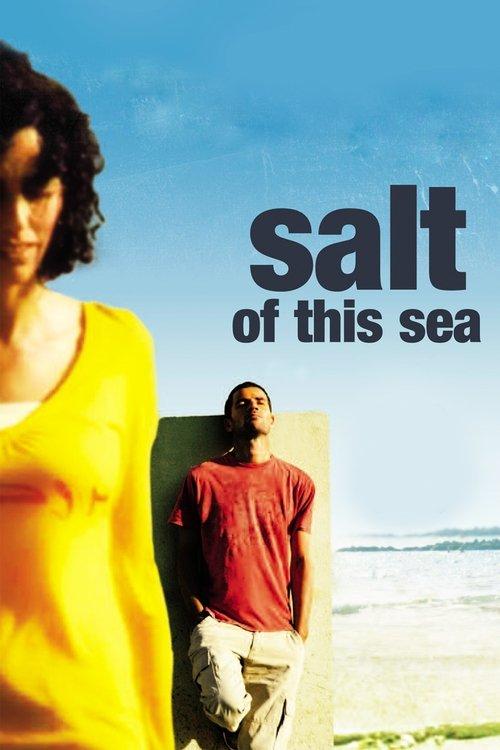 Salt of This Sea 2008 official movie poster