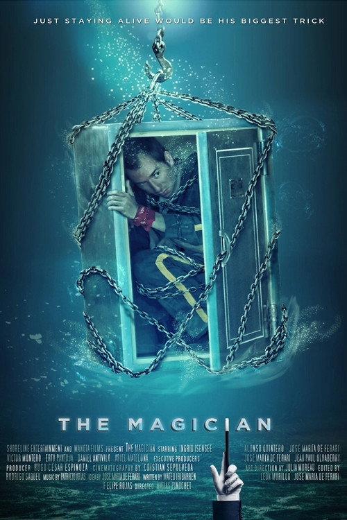 The Magician 2014 official movie poster