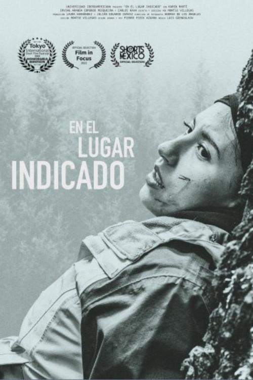 En el lugar indicado 2022 official movie poster