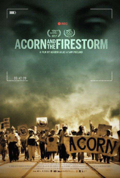 Acorn and the Firestorm 2017 official movie poster