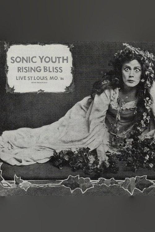 Sonic Youth: Mississippi Nights, St. Louis 1986 official movie poster
