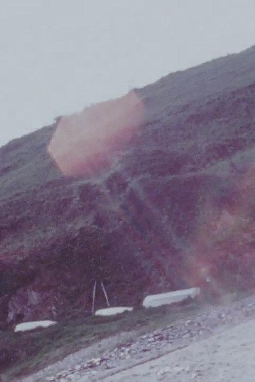Fforest Bay II 1973 official movie poster