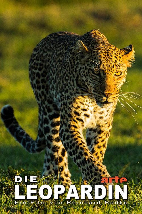 The Leopardess 2020 official movie poster
