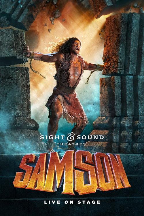 Samson 2017 official movie poster