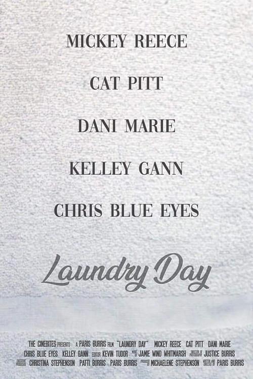 Laundry Day official movie poster
