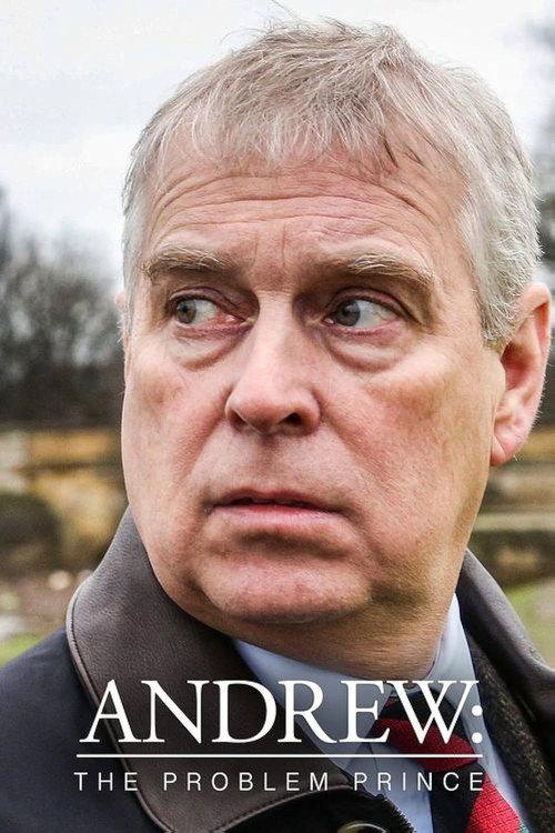 Andrew: The Problem Prince 2023 official movie poster