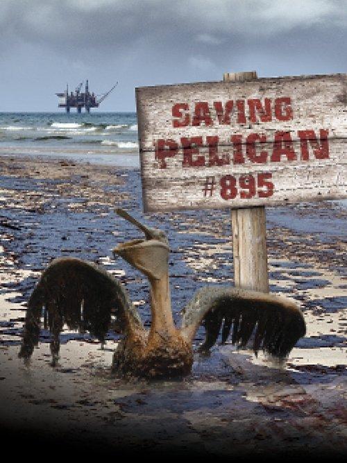 Saving Pelican 895 2011 official movie poster