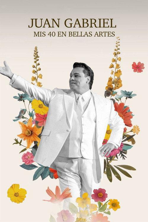 Mis 40 en Bellas Artes 2014 official movie poster