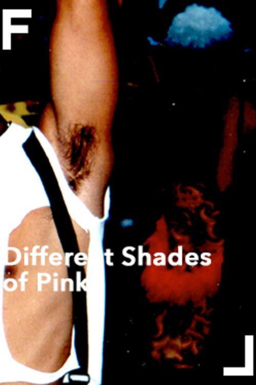 Different Shades of Pink 2001 official movie poster