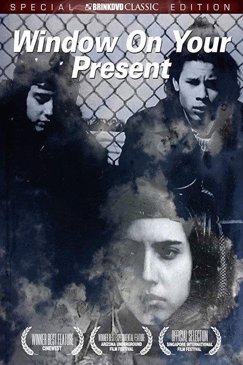 Window on Your Present 1988 official movie poster