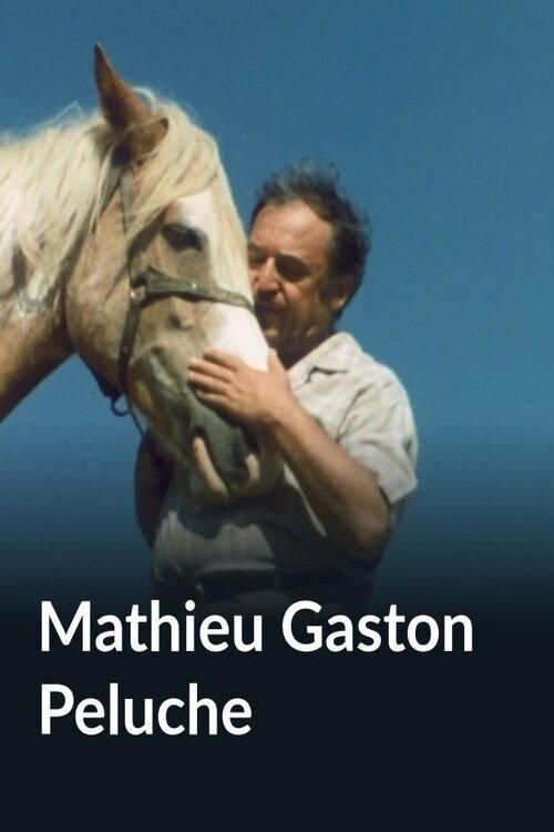 Mathieu Gaston Peluche 1980 official movie poster