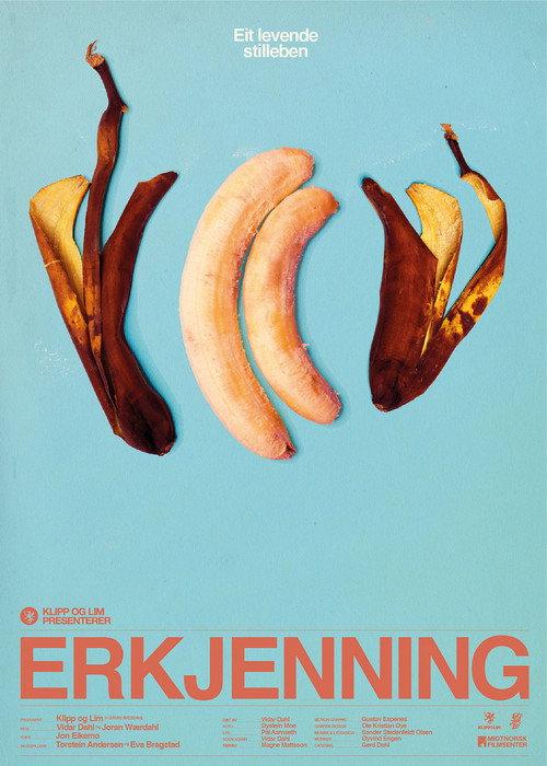 Erkjenning 2011 official movie poster