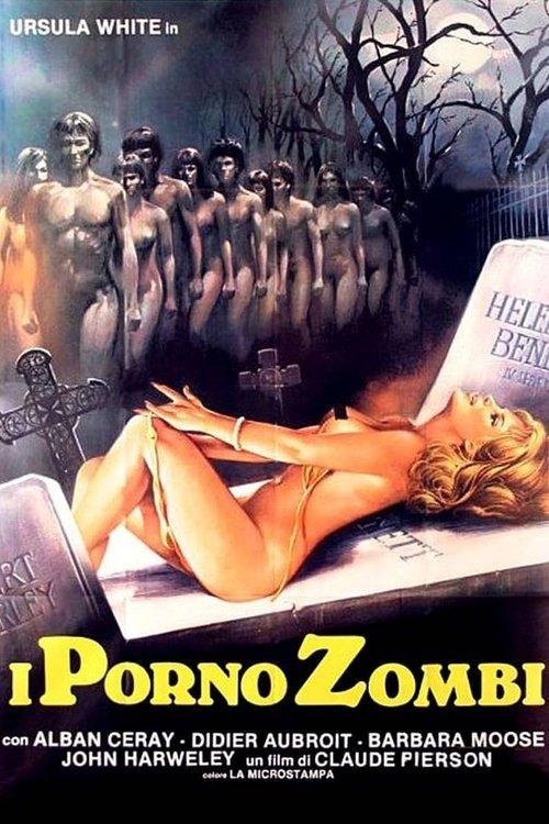 The Girl in the Fur Coat 1978 official movie poster