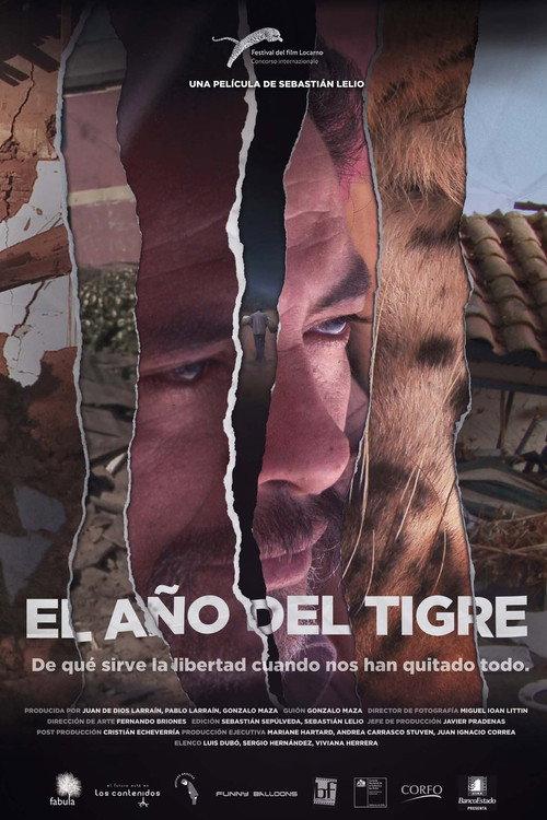 The Year of the Tiger 2013 official movie poster