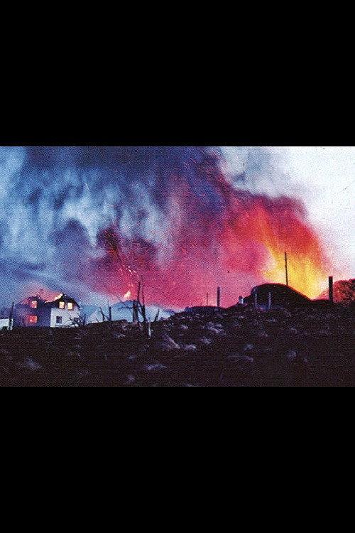 Days of Destruction 1973 official movie poster