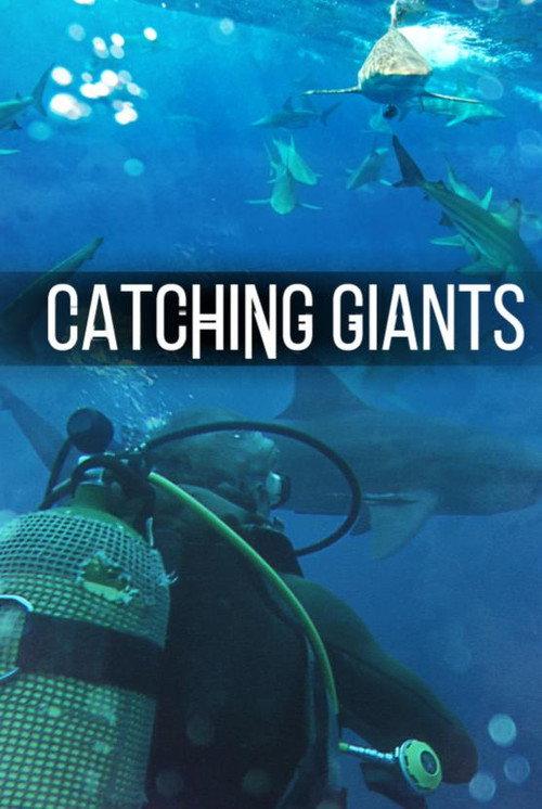 Catching Giants: Zambezi Shark 2010 official movie poster