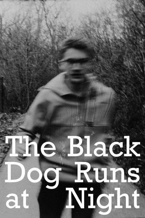 The Black Dog Runs At Night 2025 official movie poster