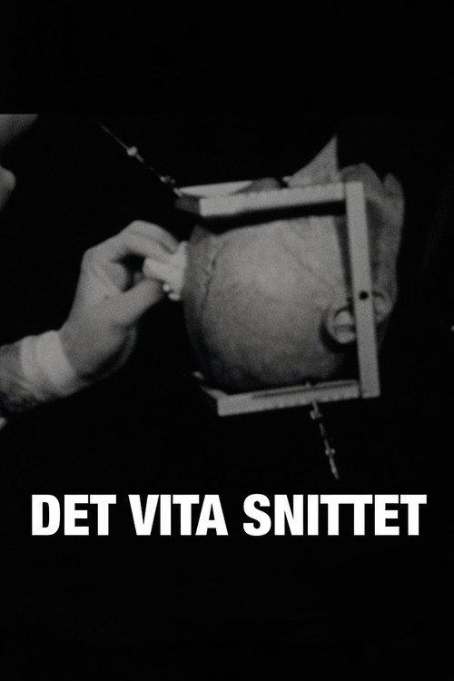 Det vita snittet 2010 official movie poster
