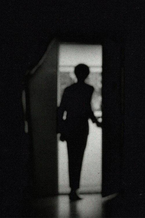 Good Evening, Mr. Nightshade 2022 official movie poster