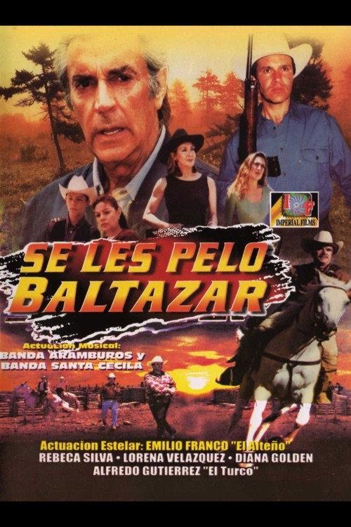 Se les pelo Baltazar 1998 official movie poster