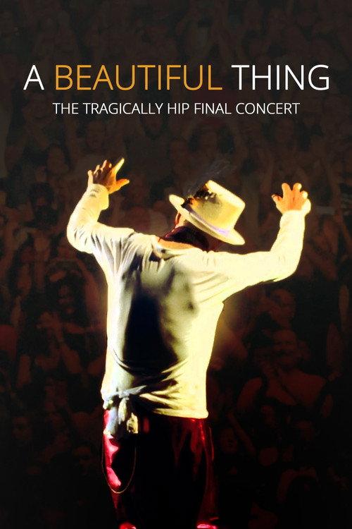 A Beautiful Thing 2026 official movie poster