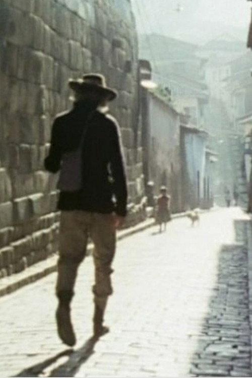 Le petit touriste 1975 official movie poster
