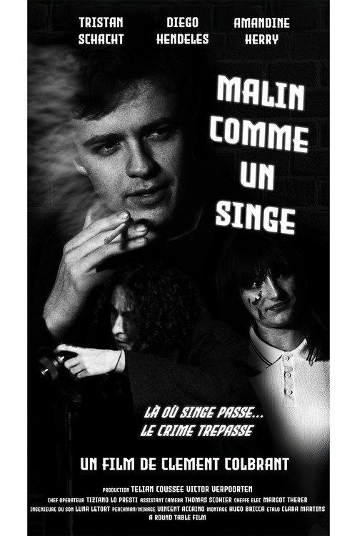 Malin comme un singe 2024 official movie poster