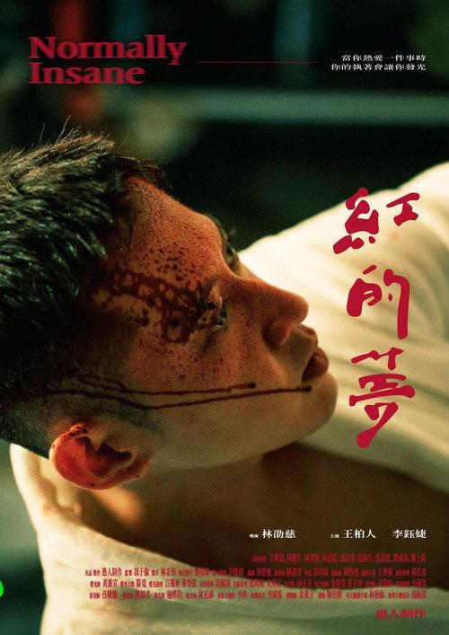 Normally Insane 2023 official movie poster