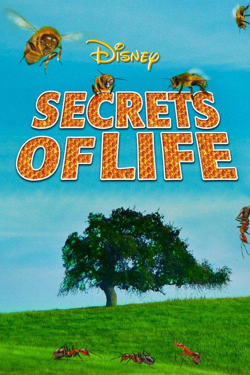 Secrets of Life 1956 official movie poster
