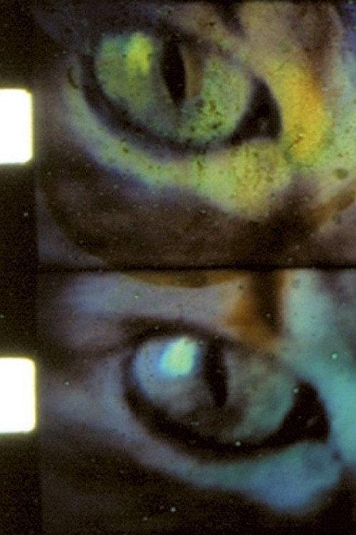 Wild Eye 1998 official movie poster