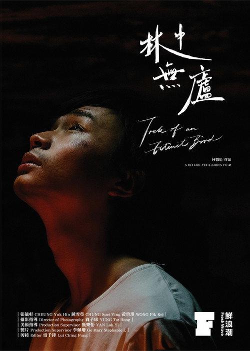 Trek of an Extinct Bird 2022 official movie poster