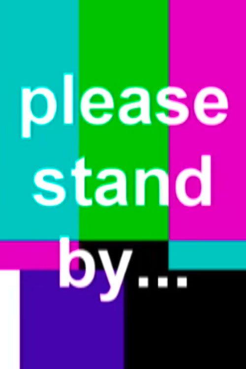 Please Stand By... 2007 official movie poster