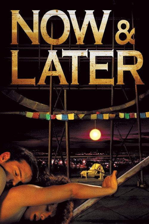 Now & Later 2009 official movie poster