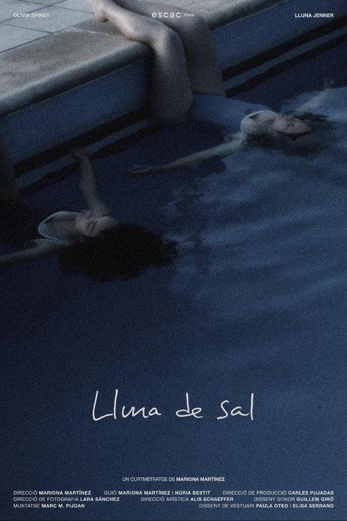 Lluna de Sal  official movie poster