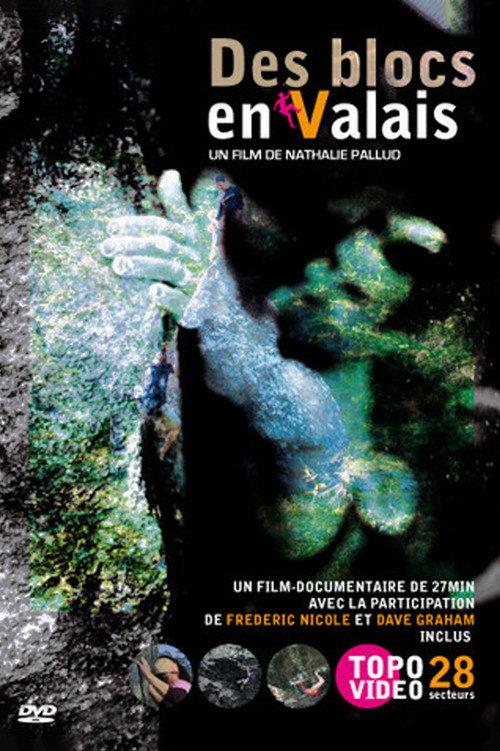 Des Blocs En Valais 2008 official movie poster