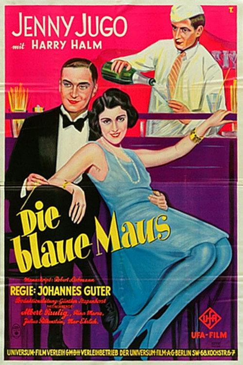 The Blue Mouse 1928 official movie poster