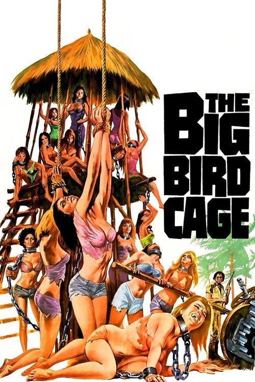 The Big Bird Cage 1972 official movie poster