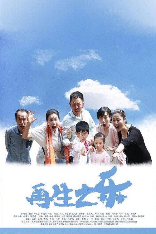 Joy of Second Child 2016 official movie poster